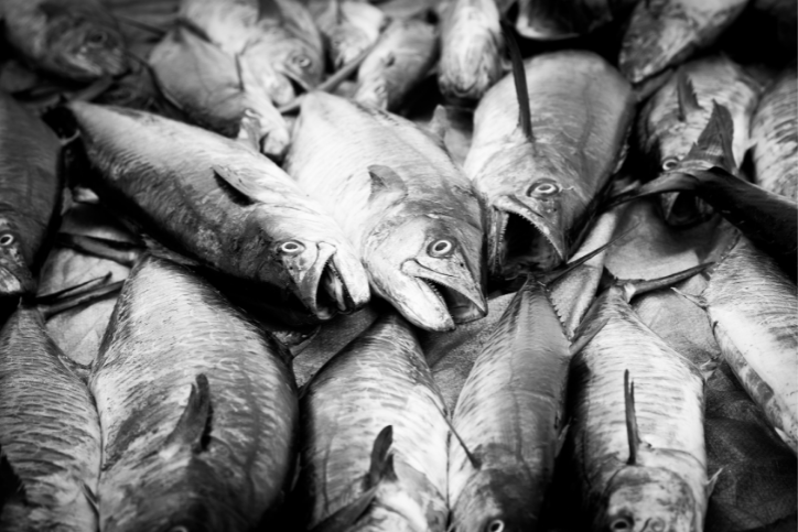 Overfishing – Facts and a well-intentioned tip